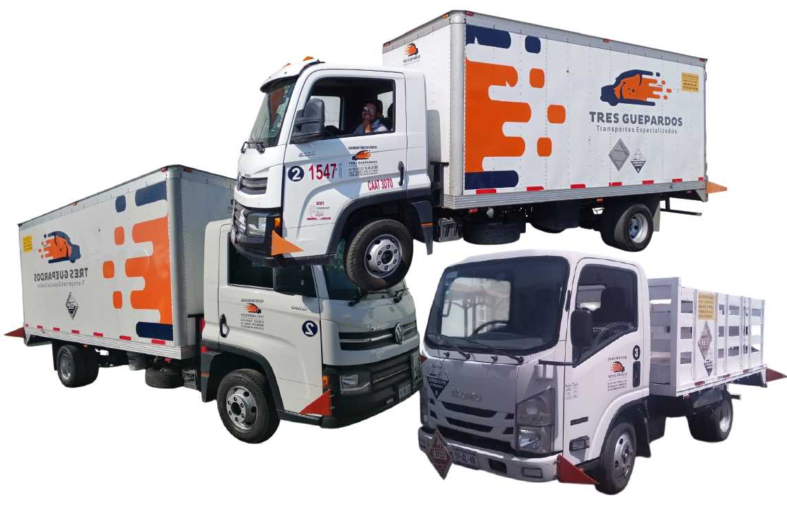 Unidad CAMIONETAS (3.5 / 5 TON) Y TORTON de Transportes 3 Guepardos